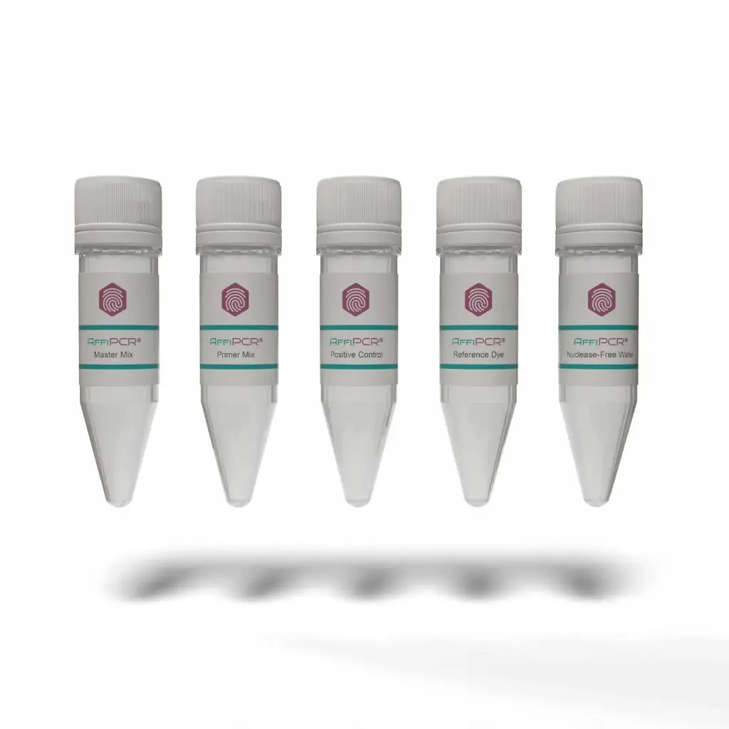 MycoDect™ Mycoplasma Detection Kit  -  1 Kit