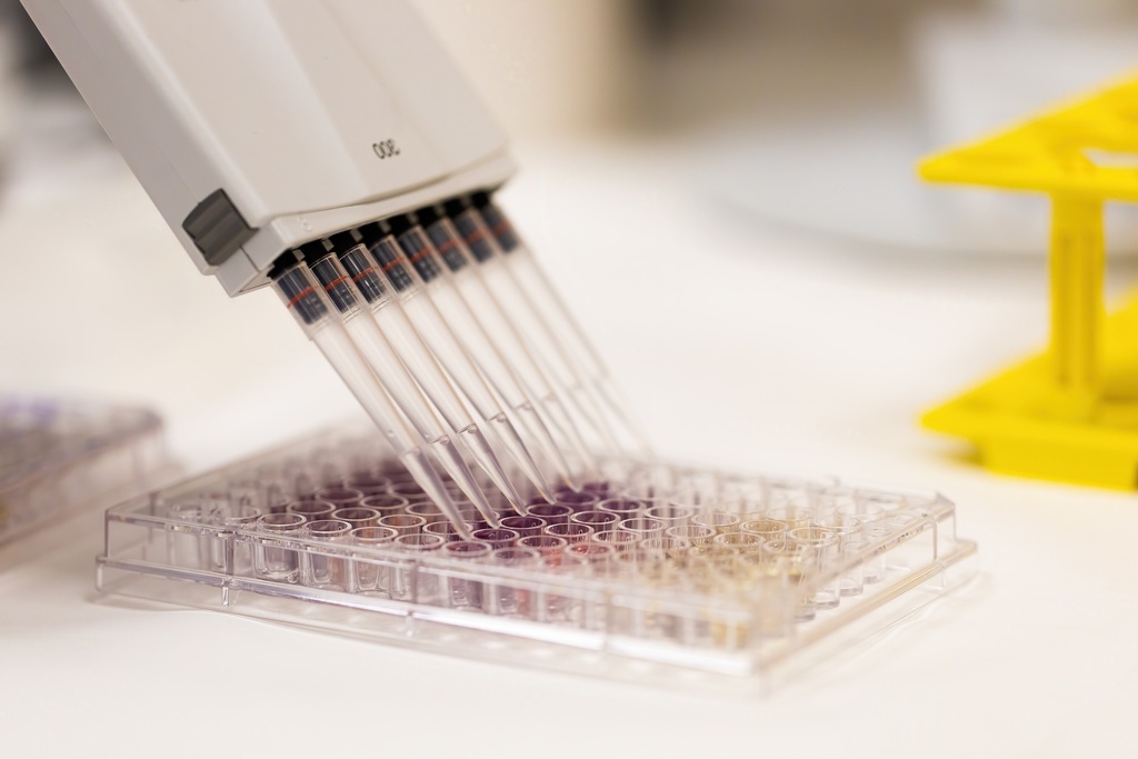96-Well Semi-Skirted PCR Plate Red 25 plates