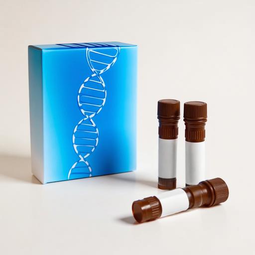 Cy3; 5' Modification-200 nmol