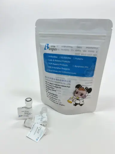 [BVA1001-5-sf] In Vivo Recombinant Monoclonal Anti- Mouse PD-1 antibody (Clone RMP1-14.1), Rat IgG2a Kappa