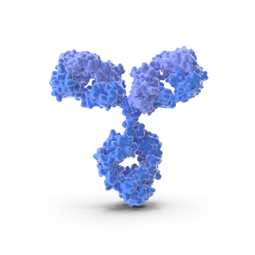[BF0021] TRIP6 antibody - 100µg